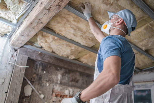 Best Insulation Maintenance and Repair in Dixmoor, IL